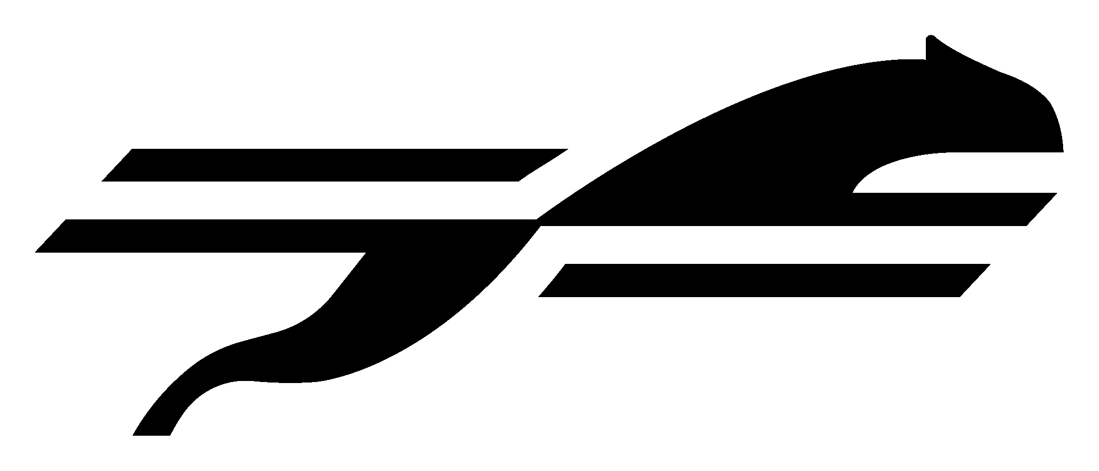 Choose Cheetah Logo